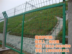 隆安護(hù)欄網(wǎng) 專(zhuān)業(yè)框架護(hù)欄網(wǎng)廠(chǎng)打造安全防盜網(wǎng)